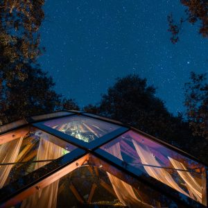 Cabane en verre dans les arbres, offrant une vue imprenable sur un ciel étoilé.