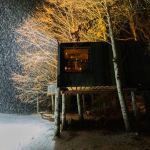 Cabane perchée en bois, illuminée sous la neige, entourée darbres majestueux.