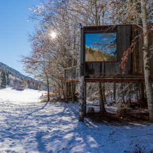 Cabane perchée en bois, entourée de neige et darbres, sous un ciel bleu.