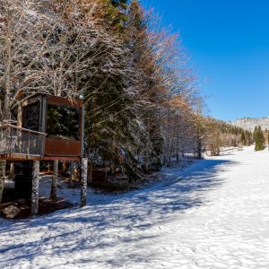 Cabane perchée en bois, entourée de neige et de sapins majestueux en Auvergne.