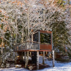 Cabane perchée en bois, entourée darbres enneigés en Auvergne-Rhône-Alpes.