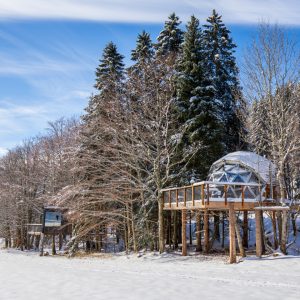 Dôme en bois sur pilotis, entouré darbres, offrant une vue imprenable en Auvergne.