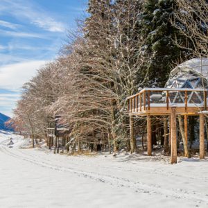 Cabane perchée en bois, entourée de neige et de sapins majestueux en Auvergne.