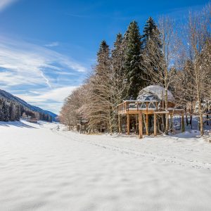 Cabane sur pilotis en pleine nature, entourée de neige et de sapins majestueux.