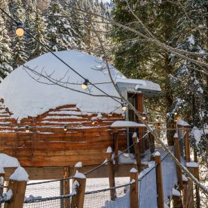 Cabane en bois perchée, entourée de neige et de sapins, avec guirlandes lumineuses.