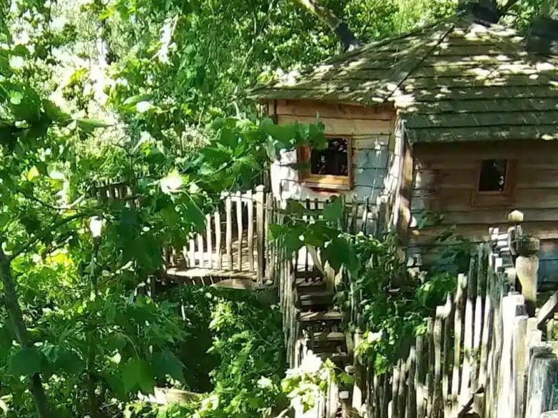 Cabane dans les arbres entourée de verdure, avec une terrasse en bois.