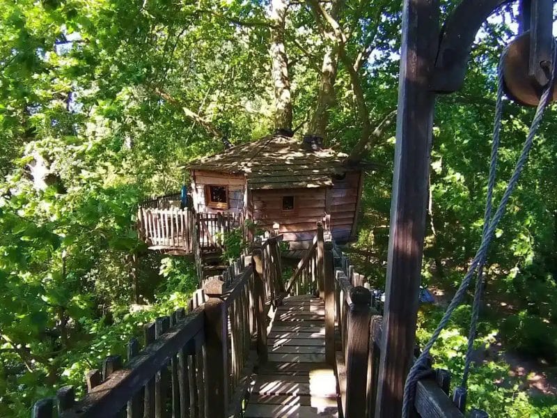 Cabane dans les arbres, accessible par un pont en bois, entourée de verdure luxuriante.