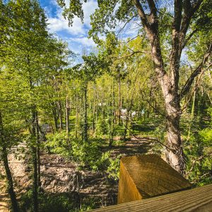 Cabane perchée en bois entourée dune forêt verdoyante en Île-de-France.