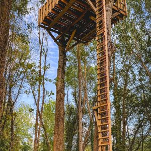 Cabane dans les arbres en Île-de-France, perchée au-dessus du sol avec une échelle en bois.