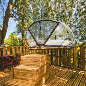 Cabane transparente perchée dans les arbres, offrant une vue imprenable sur la nature.