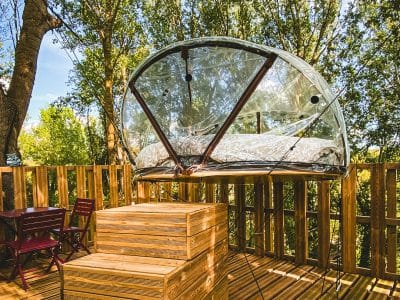 Cabane transparente perchée dans les arbres, offrant une vue imprenable sur la nature.