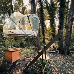 Cabane suspendue en pleine forêt, avec un toit transparent et un cadre en bois.