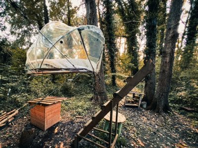 Cabane suspendue en pleine forêt, avec un toit transparent et un cadre en bois.