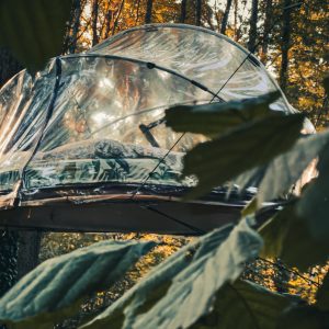 Cabane transparente dans les arbres, offrant une vue imprenable sur la forêt.