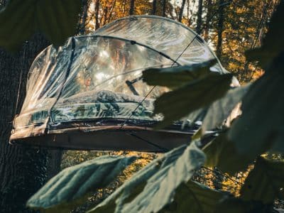 Cabane transparente dans les arbres, offrant une vue imprenable sur la forêt.