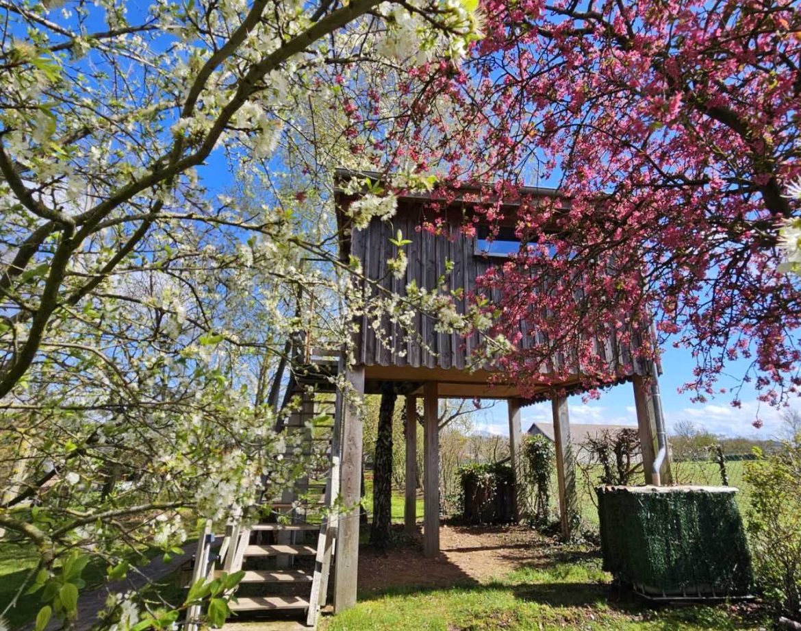 Cabane perchée dans un arbre, entourée de fleurs printanières et verdure.