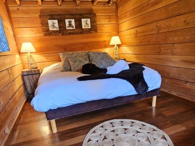 Chalet en bois chaleureux avec lit douillet et éclairage tamisé.