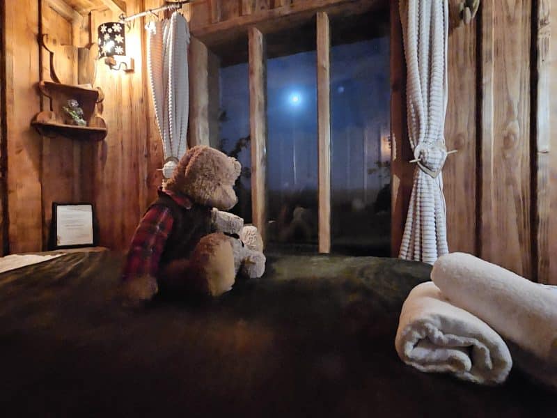 Chalet en bois chaleureux avec vue sur la lune et un ours en peluche sur le lit.