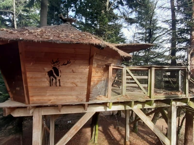 Cabane dans les arbres en bois avec un toit de chaume, perchée au milieu des arbres.