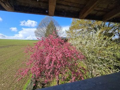 Hébergement insolite en Hauts-de-France, vue sur des arbres en fleurs et un paysage verdoyant.