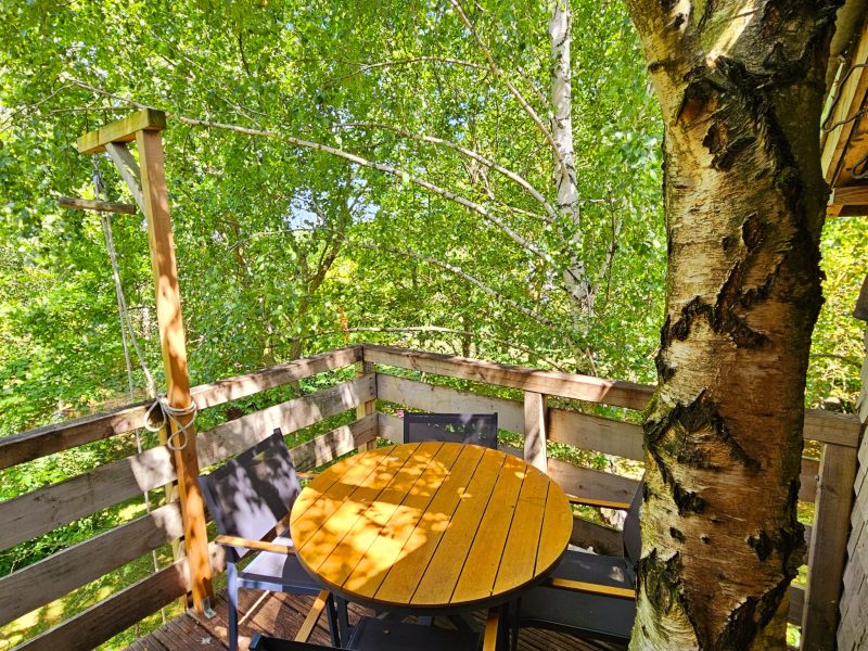Cabane dans les arbres avec terrasse en bois et table ronde entourée de verdure.