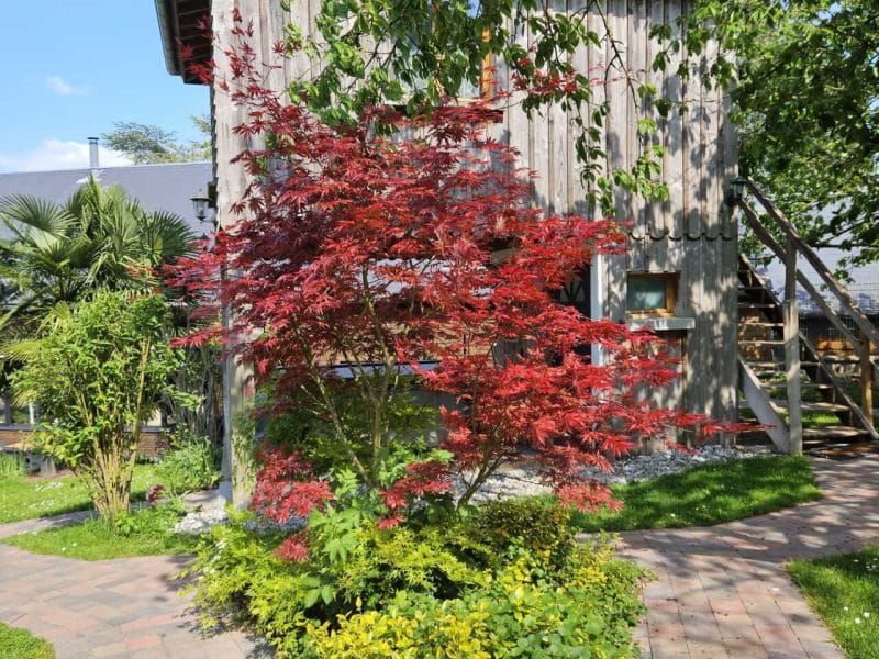 Chalet en bois entouré de verdure et darbres colorés, idéal pour un séjour paisible.