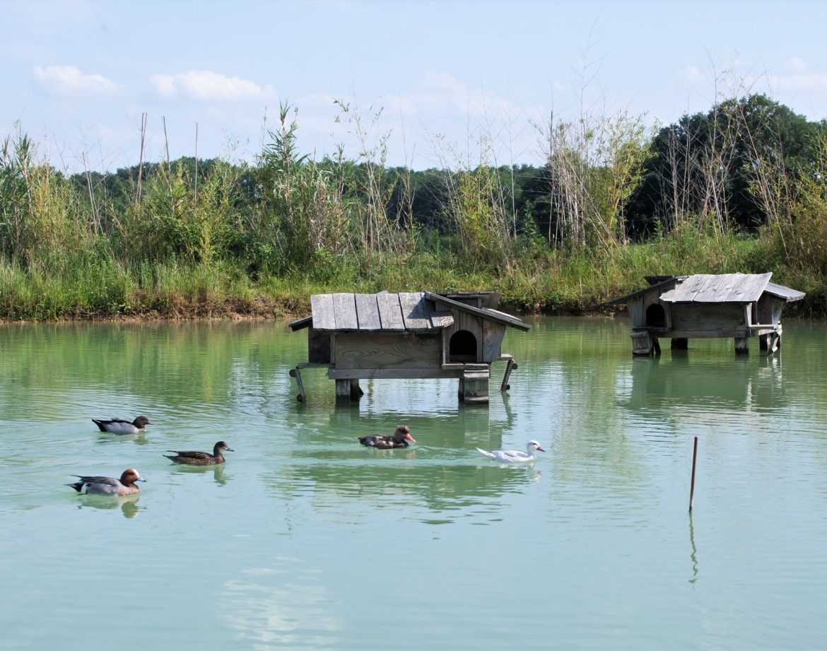 Hébergement insolite en Aquitaine : cabanes flottantes au bord dun étang paisible.