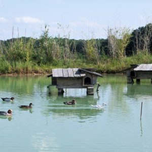 Hébergement insolite en Aquitaine : cabanes flottantes au bord dun étang paisible.