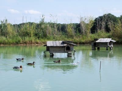 Hébergement insolite en Aquitaine : cabanes flottantes au bord dun étang paisible.