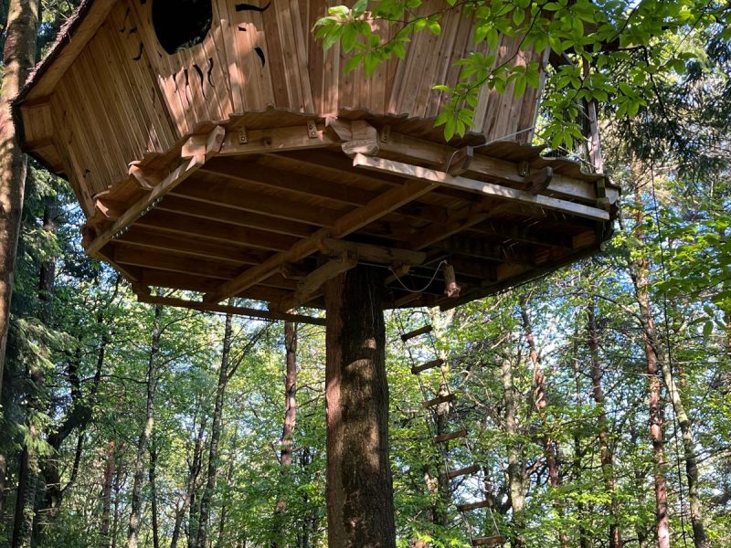 Cabane dans les arbres en bois, perchée au milieu dune forêt verdoyante.
