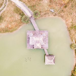 Cabane flottante sur un étang, entourée de verdure et accessible par un pont.
