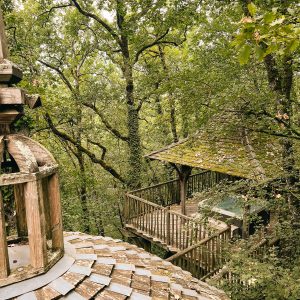 Cabane perchée en Aquitaine, entourée darbres verdoyants et dune terrasse en bois.