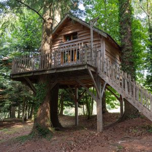 version-internet-120 panda ours