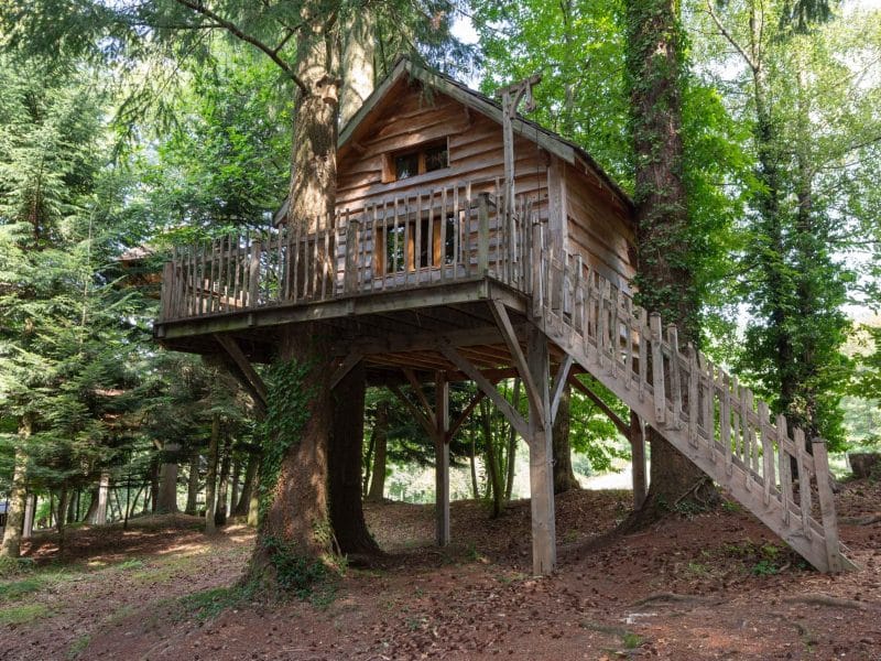 Cabane dans les arbres en bois, perchée sur pilotis, entourée de verdure.