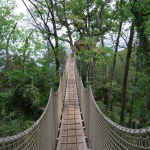 Pont suspendu menant à un hébergement insolite dans les arbres en Nouvelle-Aquitaine.