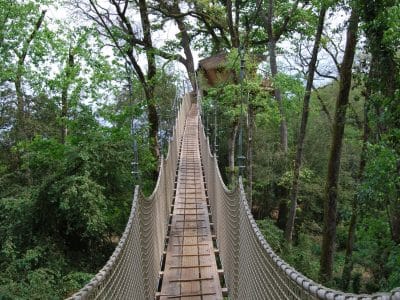 Pont suspendu menant à un hébergement insolite dans les arbres en Nouvelle-Aquitaine.