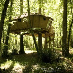 Cabane perchée dans les arbres, entourée de verdure luxuriante en Nouvelle-Aquitaine.