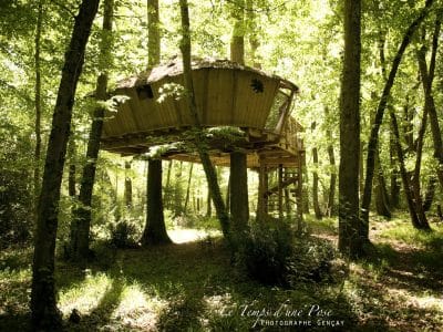 Cabane perchée dans les arbres, entourée de verdure luxuriante en Nouvelle-Aquitaine.