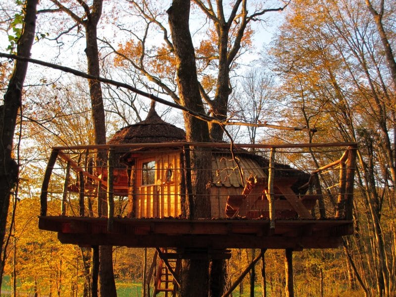 Cabane dans les arbres, perchée au milieu des feuillages dorés dautomne.