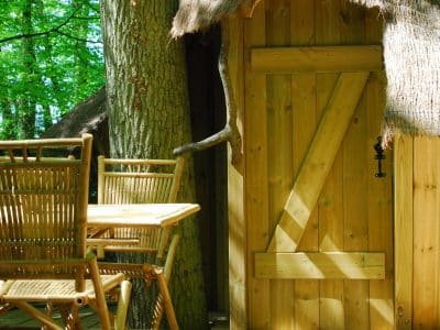 Cabane en bois avec toit de chaume, entourée darbres, terrasse en bois accueillante.