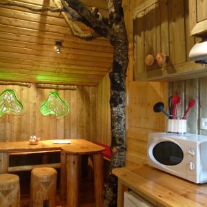 Cabane en bois à Nouvelle-Aquitaine, avec un arbre intérieur et des fenêtres originales.