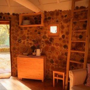 Hébergement insolite en Aquitaine : cabane en bois avec murs en rondins et échelle en bois.