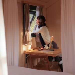 Cabane en bois avec vue sur la nature, ambiance chaleureuse et lumineuse.