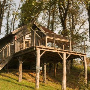 Cabane sur pilotis en Aquitaine, entourée darbres verdoyants et paisibles.