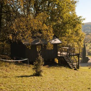 Cabane en bois perchée, entourée darbres dorés en Aquitaine. Idéal pour un séjour nature.