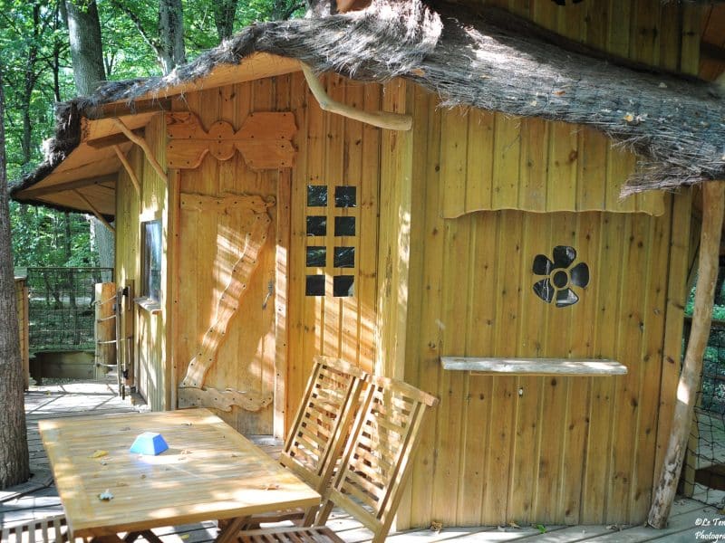 Cabane en bois dans les arbres, avec un toit en chaume et une terrasse en bois.