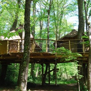 Cabane dans les arbres en Nouvelle-Aquitaine, perchée au milieu dune forêt verdoyante.