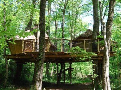Cabane dans les arbres en Nouvelle-Aquitaine, perchée au milieu dune forêt verdoyante.