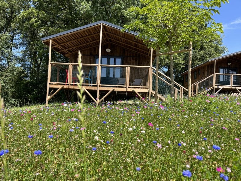 Chalet en bois entouré de fleurs sauvages, offrant un cadre naturel apaisant.