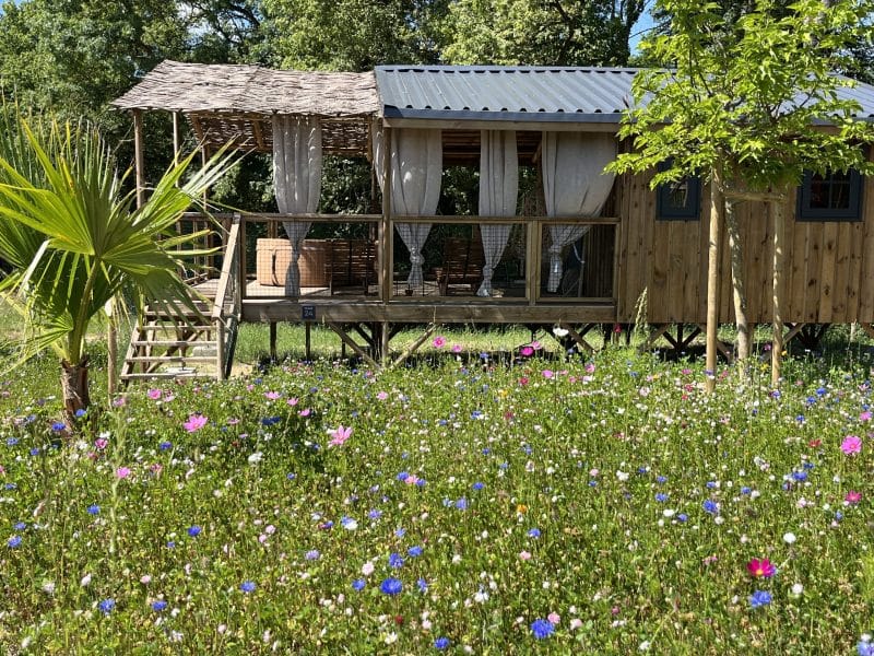 Cabane en bois avec terrasse, entourée de fleurs sauvages colorées.